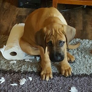 Meet your Posher, Alec